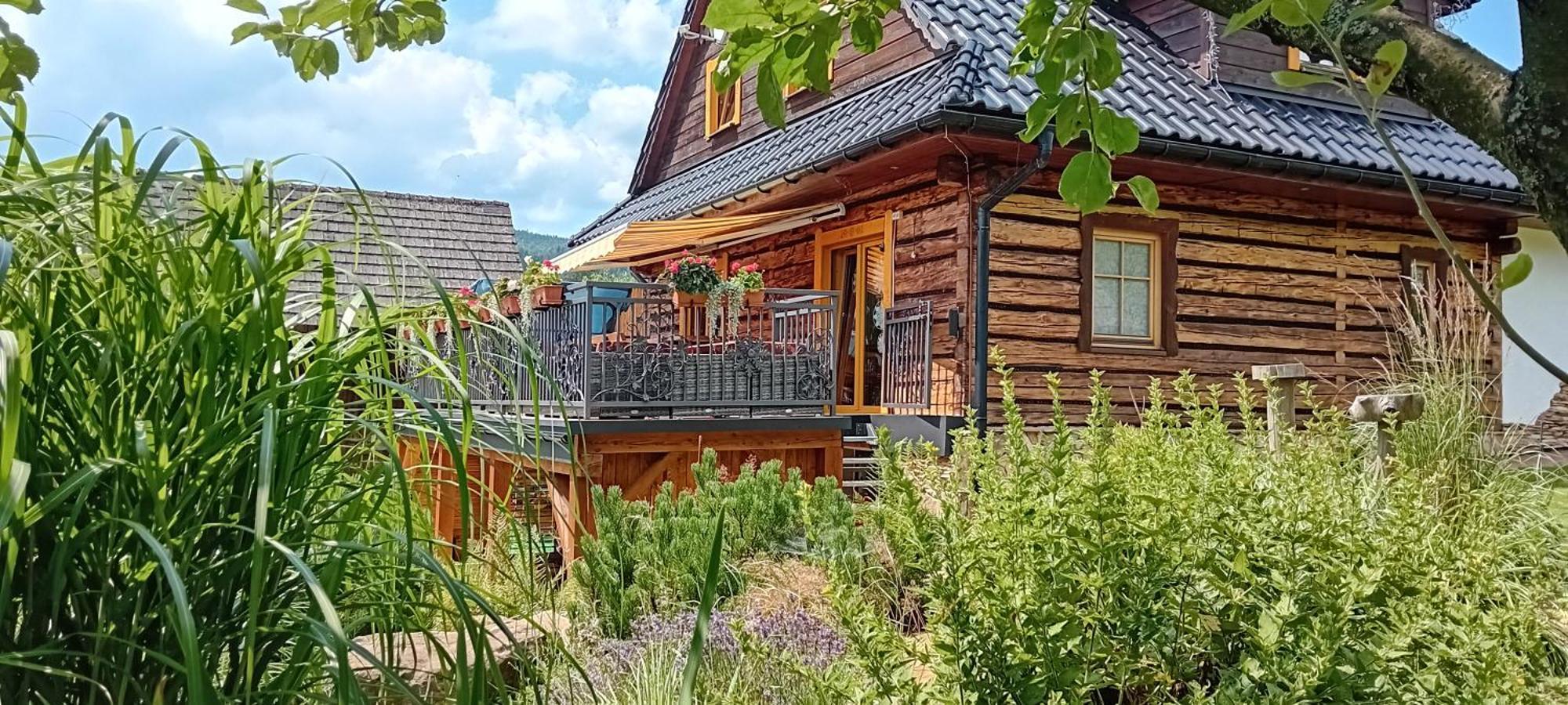 Staro Chalpa Villa Istebna Ngoại thất bức ảnh